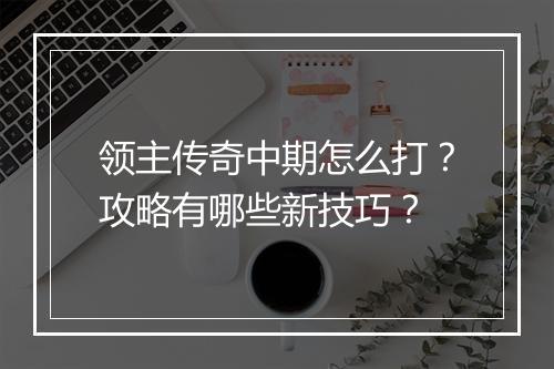 领主传奇中期怎么打？攻略有哪些新技巧？