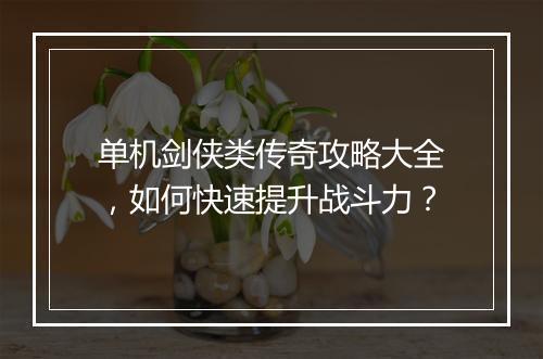 单机剑侠类传奇攻略大全，如何快速提升战斗力？