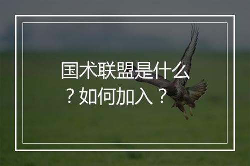 国术联盟是什么？如何加入？