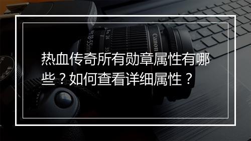 热血传奇所有勋章属性有哪些？如何查看详细属性？