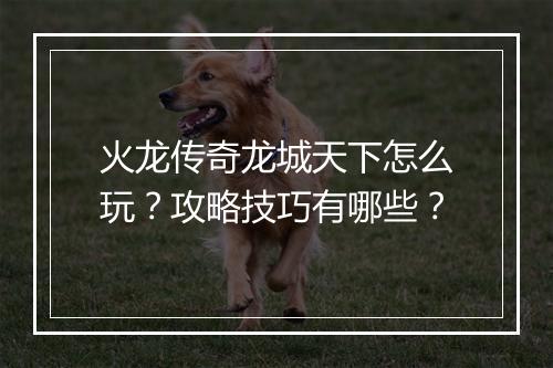 火龙传奇龙城天下怎么玩？攻略技巧有哪些？