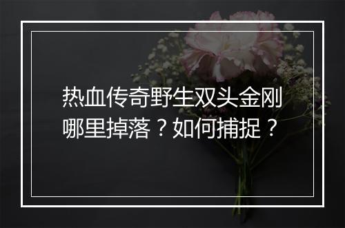 热血传奇野生双头金刚哪里掉落？如何捕捉？