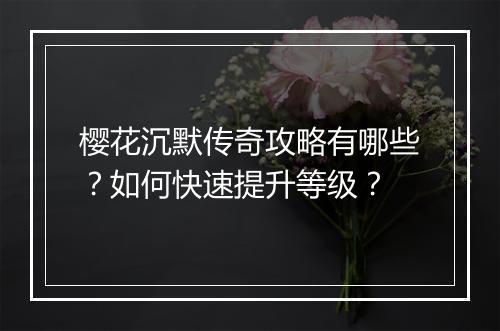 樱花沉默传奇攻略有哪些？如何快速提升等级？