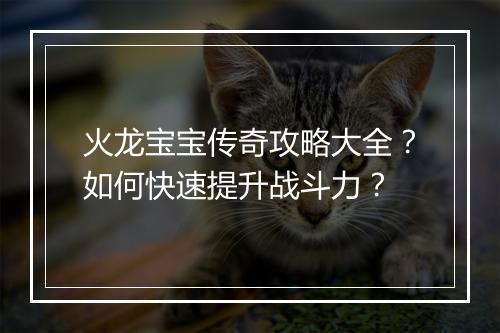火龙宝宝传奇攻略大全？如何快速提升战斗力？