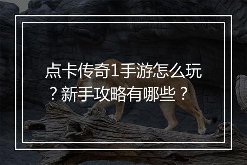 点卡传奇1手游怎么玩？新手攻略有哪些？