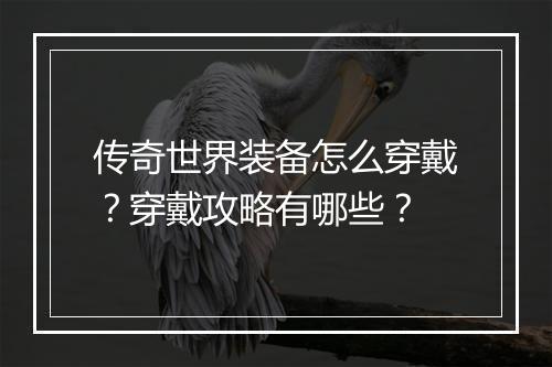 传奇世界装备怎么穿戴？穿戴攻略有哪些？