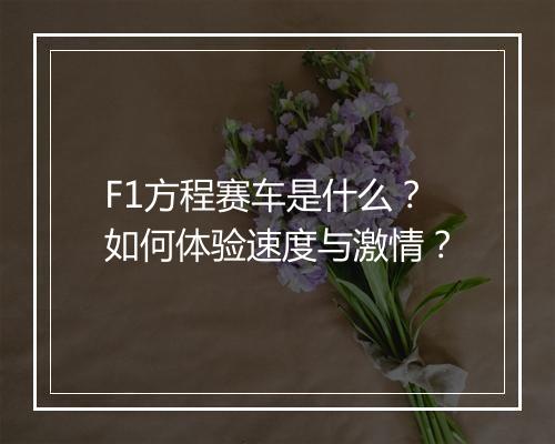 F1方程赛车是什么？如何体验速度与激情？