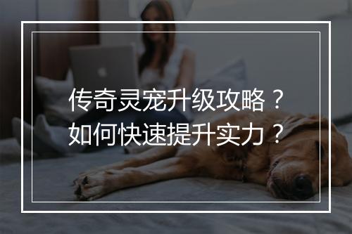 传奇灵宠升级攻略？如何快速提升实力？