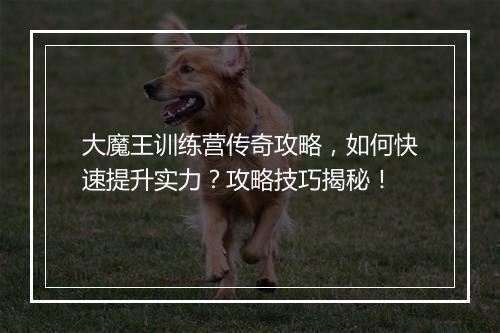 大魔王训练营传奇攻略，如何快速提升实力？攻略技巧揭秘！