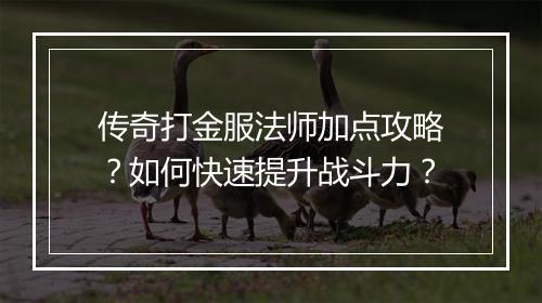 传奇打金服法师加点攻略？如何快速提升战斗力？