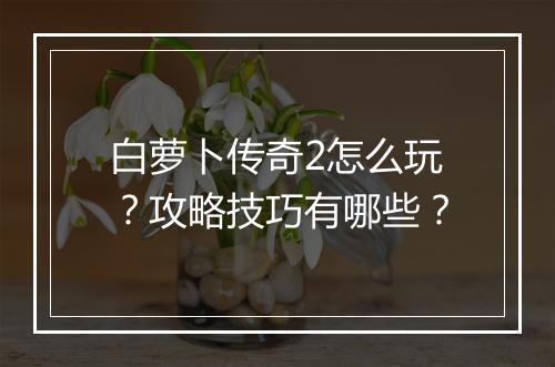 白萝卜传奇2怎么玩？攻略技巧有哪些？
