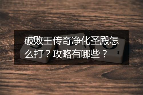破败王传奇净化圣殿怎么打？攻略有哪些？