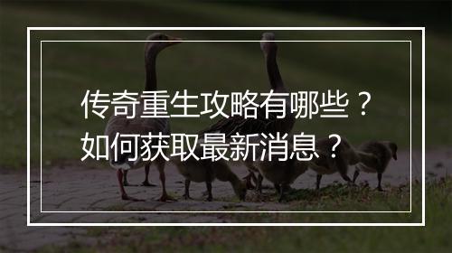 传奇重生攻略有哪些？如何获取最新消息？