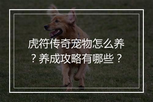 虎符传奇宠物怎么养？养成攻略有哪些？