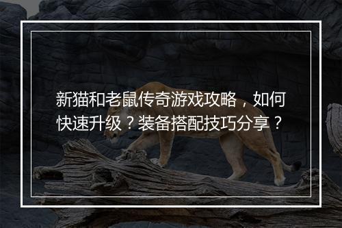 新猫和老鼠传奇游戏攻略，如何快速升级？装备搭配技巧分享？