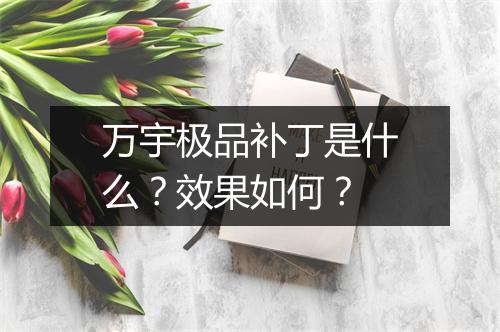 万宇极品补丁是什么？效果如何？