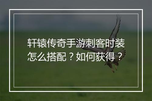 轩辕传奇手游刺客时装怎么搭配？如何获得？