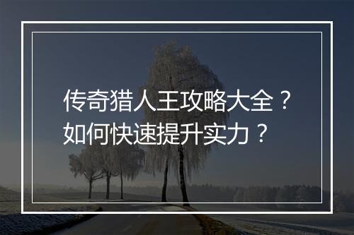 传奇猎人王攻略大全？如何快速提升实力？