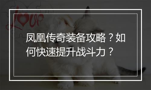 凤凰传奇装备攻略？如何快速提升战斗力？