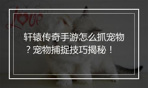 轩辕传奇手游怎么抓宠物？宠物捕捉技巧揭秘！
