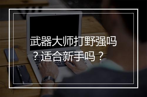 武器大师打野强吗？适合新手吗？