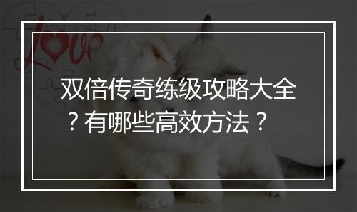 双倍传奇练级攻略大全？有哪些高效方法？