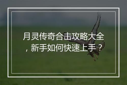 月灵传奇合击攻略大全，新手如何快速上手？