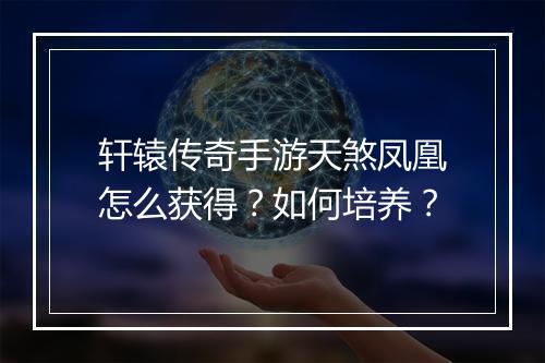 轩辕传奇手游天煞凤凰怎么获得？如何培养？