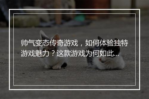 帅气变态传奇游戏，如何体验独特游戏魅力？这款游戏为何如此火爆？