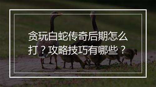 贪玩白蛇传奇后期怎么打？攻略技巧有哪些？