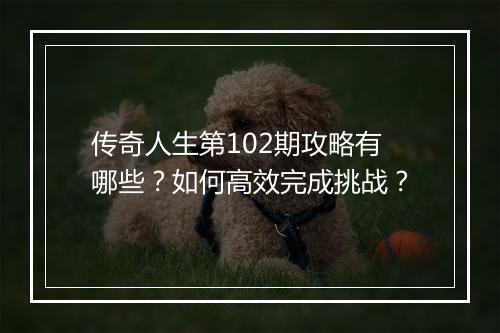 传奇人生第102期攻略有哪些？如何高效完成挑战？