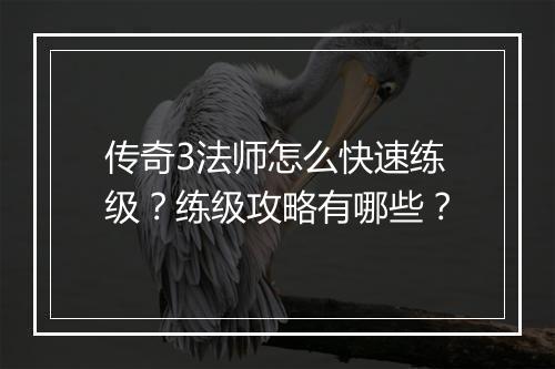 传奇3法师怎么快速练级？练级攻略有哪些？