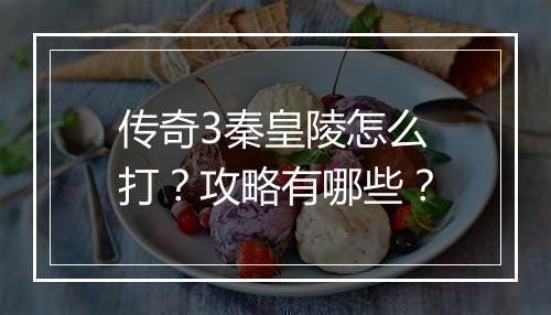传奇3秦皇陵怎么打？攻略有哪些？