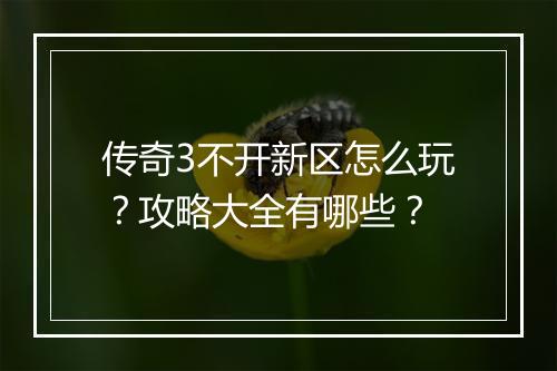 传奇3不开新区怎么玩？攻略大全有哪些？