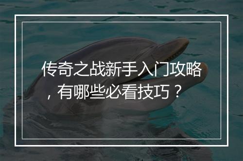 传奇之战新手入门攻略，有哪些必看技巧？