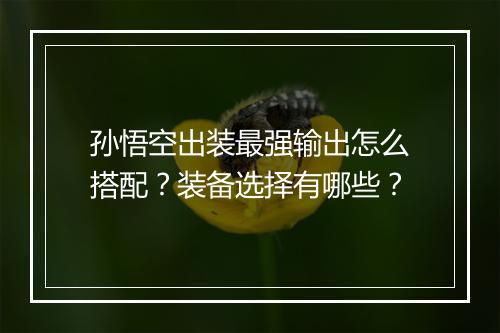 孙悟空出装最强输出怎么搭配？装备选择有哪些？