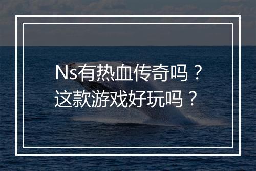 Ns有热血传奇吗？这款游戏好玩吗？