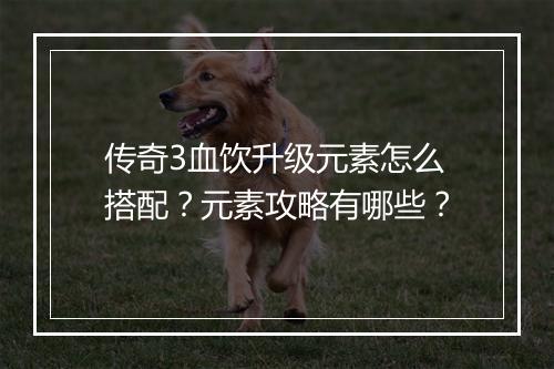 传奇3血饮升级元素怎么搭配？元素攻略有哪些？
