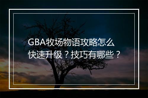 GBA牧场物语攻略怎么快速升级？技巧有哪些？