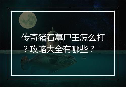 传奇猪石墓尸王怎么打？攻略大全有哪些？