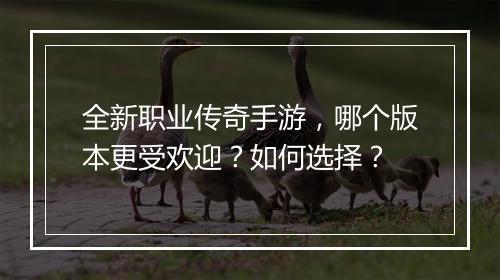 全新职业传奇手游，哪个版本更受欢迎？如何选择？