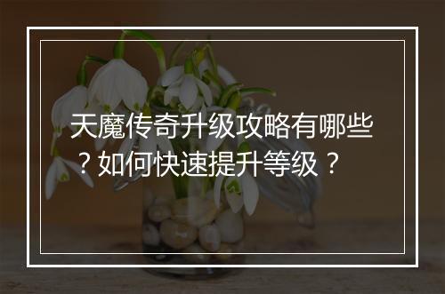 天魔传奇升级攻略有哪些？如何快速提升等级？