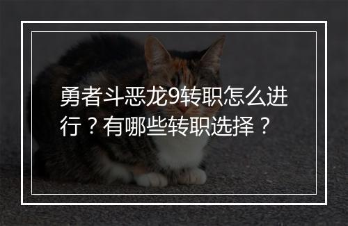 勇者斗恶龙9转职怎么进行？有哪些转职选择？
