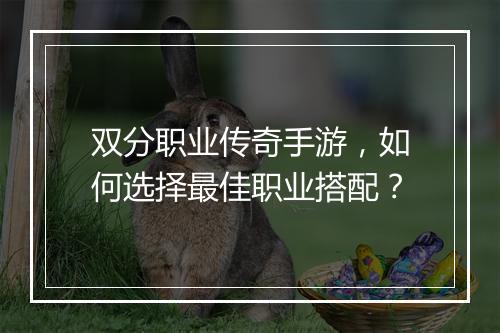 双分职业传奇手游，如何选择最佳职业搭配？