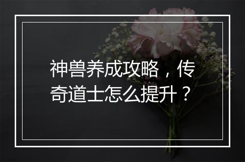 神兽养成攻略，传奇道士怎么提升？