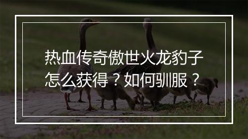 热血传奇傲世火龙豹子怎么获得？如何驯服？