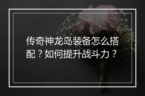 传奇神龙岛装备怎么搭配？如何提升战斗力？