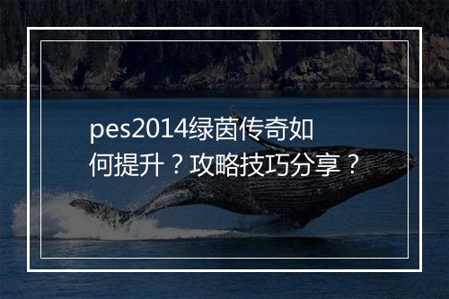 pes2014绿茵传奇如何提升？攻略技巧分享？