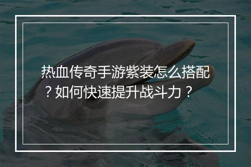 热血传奇手游紫装怎么搭配？如何快速提升战斗力？