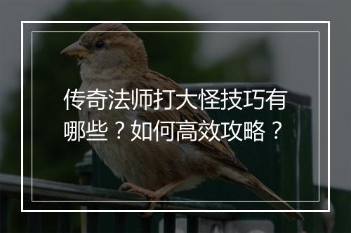 传奇法师打大怪技巧有哪些？如何高效攻略？